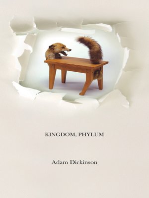 cover image of Kingdom, Phylum